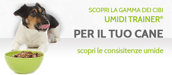 consistenze umide per cani