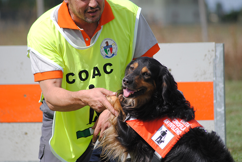 cani eroi circolo otesia