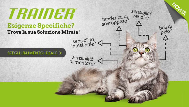 alimenti-problemi-salute-gatto-trainer