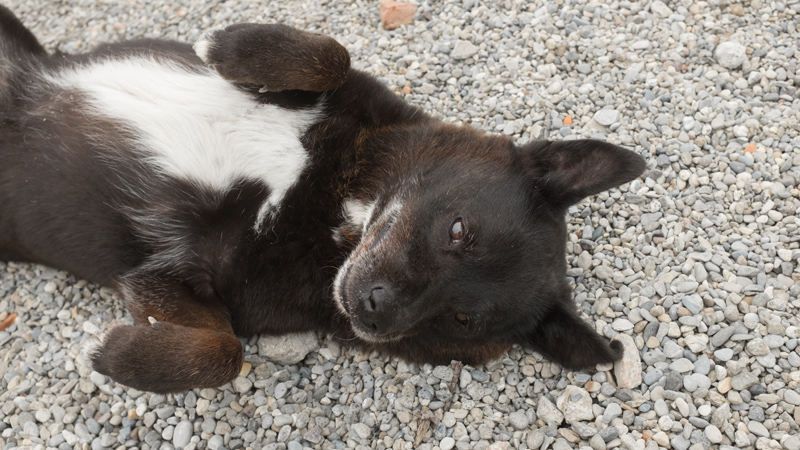 Un dolcissimo scatto di Jack