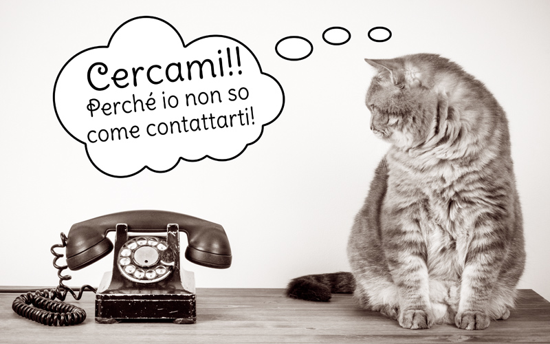 gatto-scomparto-contattami