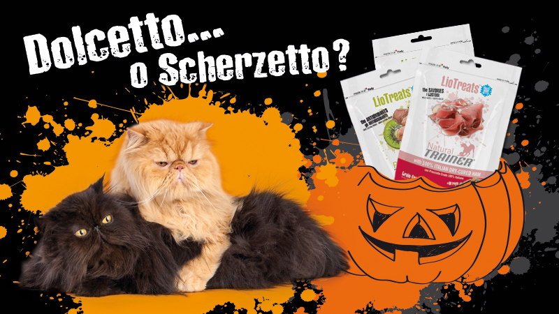 I premi LioTreats... sono anche per il tuo gatto!